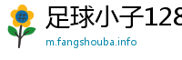 足球小子128全集百度云
